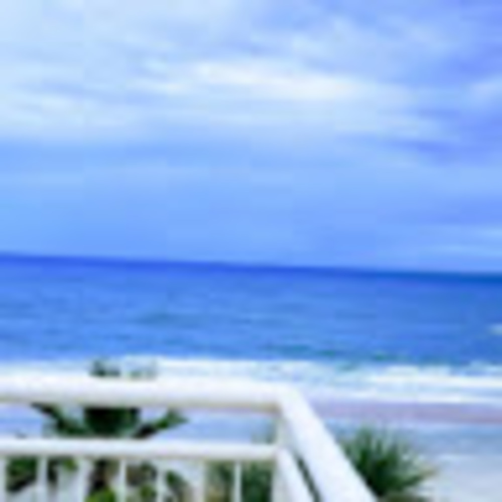 Meet your Posher, Tawny